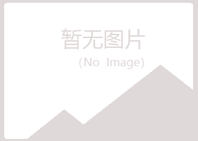 大同新荣夏日化学有限公司